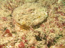 img_3856.jpg
