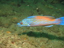 img_3877.jpg