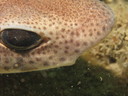 img_3896.jpg
