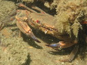 img_3898.jpg