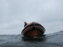 img_3908.jpg