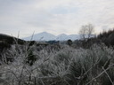 img_1379.jpg