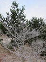 img_1380.jpg