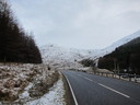 img_1385.jpg